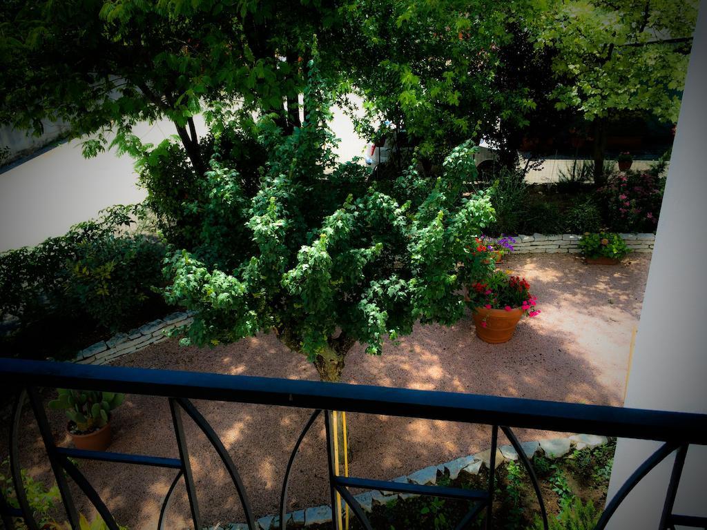 Bed & Breakfast Don Carlos San Martino di Lupari ภายนอก รูปภาพ