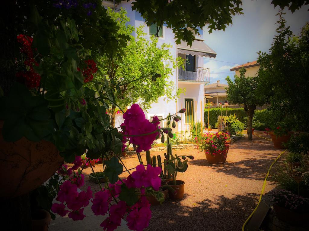 Bed & Breakfast Don Carlos San Martino di Lupari ภายนอก รูปภาพ