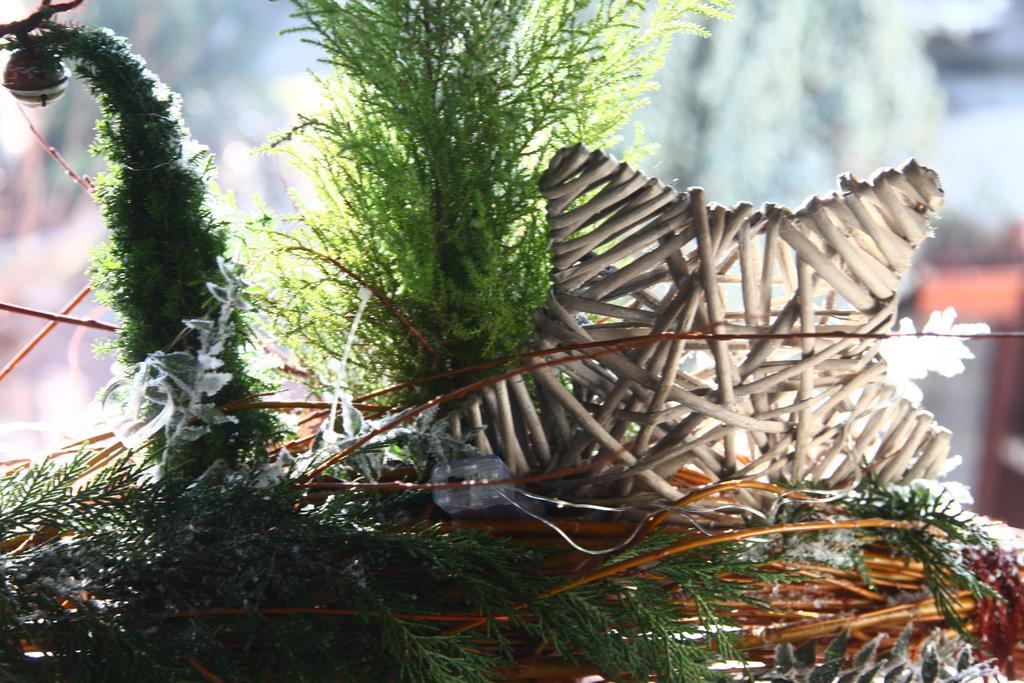 Bed & Breakfast Don Carlos San Martino di Lupari ภายนอก รูปภาพ