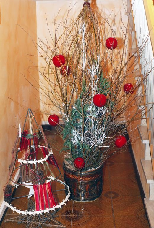 Bed & Breakfast Don Carlos San Martino di Lupari ภายนอก รูปภาพ