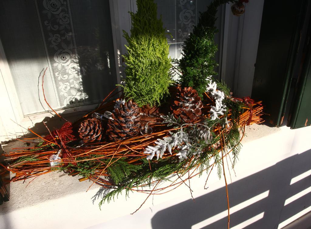 Bed & Breakfast Don Carlos San Martino di Lupari ภายนอก รูปภาพ